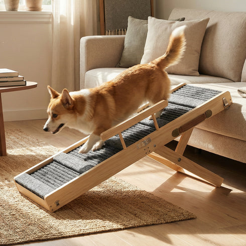 TTGIEET Upgraded Dog Ramp for Couch, Foldable Wooden Pet Ramp with 4 Adjustable Heights from 14'' to 22", Portable Pet Steps with Detachable Guardrails for Small Dogs, Puppies, Injured and Old Dogs