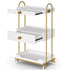 TTGIEET Barber Salon Trolley Cart w/Lockable Wheels, 3-Tier Rolling Beauty Cart with 2 Drawers & Dryer Holder, Mobile Beauty Trolley for Beauty Spa Barbershop