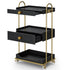 TTGIEET Barber Salon Trolley Cart w/Lockable Wheels, 3-Tier Rolling Beauty Cart with 2 Drawers & Dryer Holder, Mobile Beauty Trolley for Beauty Spa Barbershop