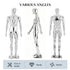 Full-Body Male Mannequin Matte Golden, 6 FT Plastic Man Manequins Stand with Metal Base, Adjustable Head, Flexible Limbs and Detachable Design, Perfect for Clothing Stores