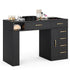 Paddie Nail Desk, built-in dust collector, multi-drawers