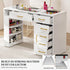 Paddie Nail Desk, built-in dust collector, multi-drawers