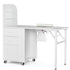 Upgraded! Paddie Foldable Nail Table with Storage
