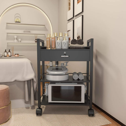 Paddie 3-Layer Salon Trolley Cart