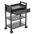Paddie 3-Layer Salon Trolley Cart