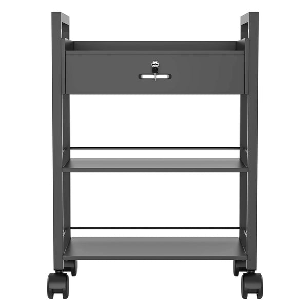 Paddie 3-Layer Salon Trolley Cart