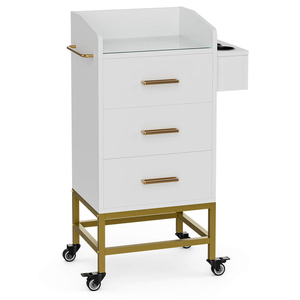 TTGIEET Salon Storage Trolley Cart with with Lockable Wheels, Beauty Rolling Hair Cart with Drawers& Dryer Holder, Salon Stations Cabinet for Beauty Spa Barbershop