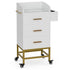 Paddie Metal Salon Cart, glass top