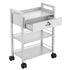 Paddie 3-Layer Salon Trolley Cart