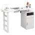 TTGIEET Manicure Table for Nail Tech, Acetone Resistant Nail Desk Station with Dust Collector & LED Lamp, Nail Table with Wrist Cushion, Drawer and Cabinet for Salon, Home Beauty Workstation