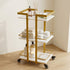 TTGIEET Esthetician Cart with Wheels, 3-Tier Salon Rolling Trolley, Spa Beauty Storage Cart, White & Gold
