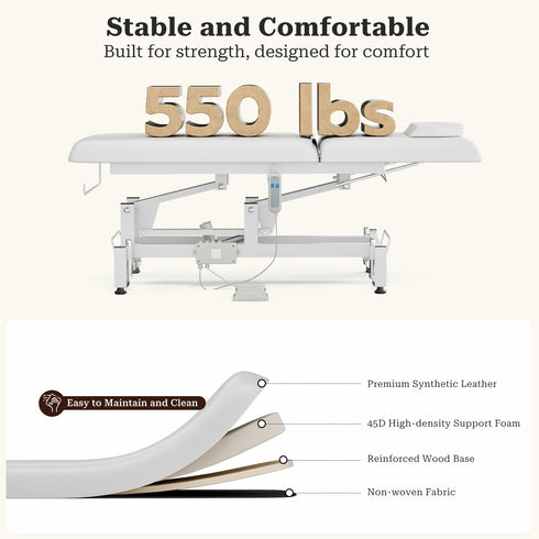 TTGIEET Electric Lift Massage Table for Estheticians, Professional Facial Bed with Adjustable Backrest, Spa Treatment Table for Salon, Waxing, Massage & Physical Therapy, White