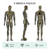 Full-Body Male Mannequin Matte Golden, 6 FT Plastic Man Manequins Stand with Metal Base, Adjustable Head, Flexible Limbs and Detachable Design, Perfect for Clothing Stores