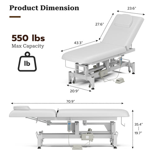 TTGIEET Electric Lift Massage Table for Estheticians, Professional Facial Bed with Adjustable Backrest, Spa Treatment Table for Salon, Waxing, Massage & Physical Therapy, White