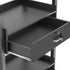 Paddie Salon Cart with Drawers