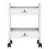 Paddie Salon Cart with Drawers